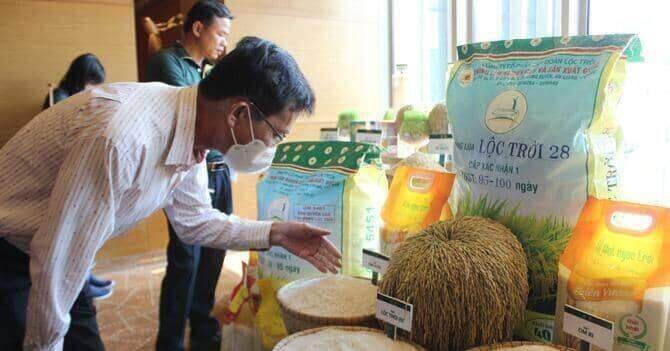 Tập đoàn Lộc Trời ký kết mua bán, tài trợ sản xuất 2 triệu tấn lúa cho nông dân ĐBSCL