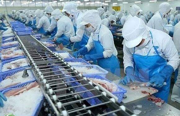 Doanh thu 2 tháng đầu năm của ‘nữ hoàng cá tra’ tăng 71%