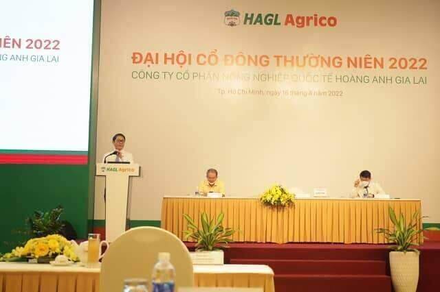 ĐHĐCĐ HNG: Dự kiến thua lỗ 2,713 tỷ đồng trong 2022