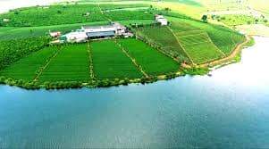 Lâm Đồng: Đẩy mạnh xây dựng thương hiệu nông sản đặc trưng Lâm Đồng: Đẩy mạnh xây dựng thương hiệu nông sản đặc trưng
