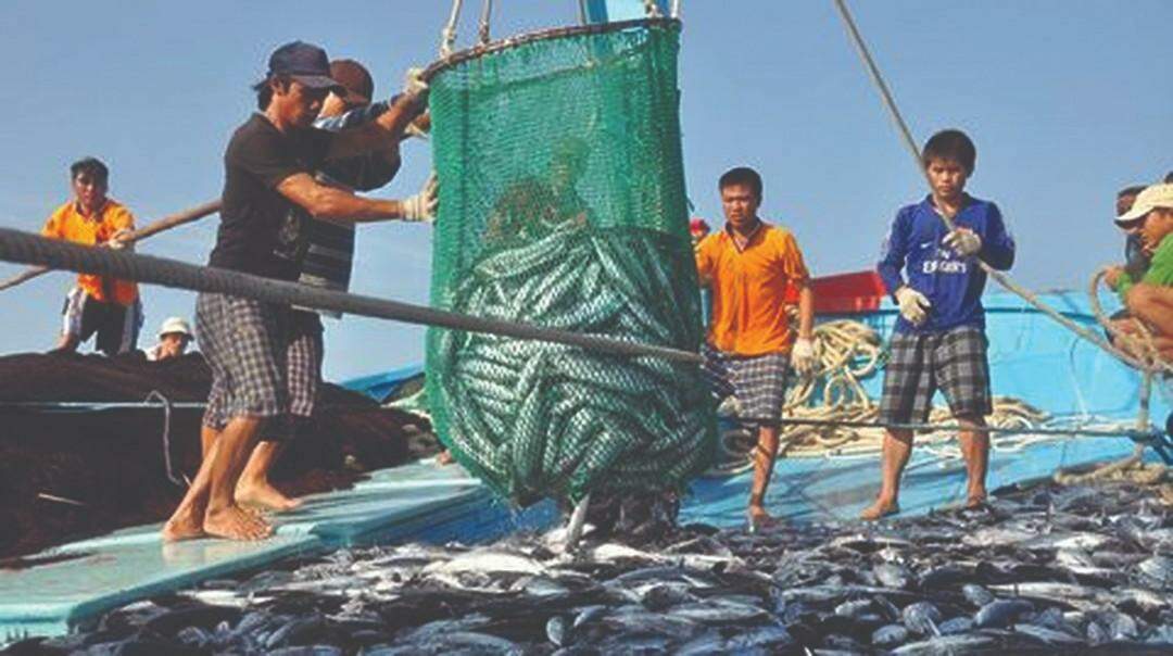 Thủy sản tăng trưởng kỷ lục, nhưng phía trước còn nhiều “chông gai” Thủy sản tăng trưởng kỷ lục, nhưng phía trước còn nhiều “chông gai”