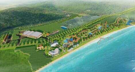 Ninh Thuận “chốt” tiến độ một dự án đầu tư 250 tỷ đồng về nho Ninh Thuận “chốt” tiến độ một dự án đầu tư 250 tỷ đồng về nho
