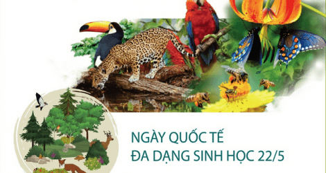 Ngày Quốc tế đa dạng sinh học 22/5: Thay đổi hành vi, thúc đẩy lối sống hài hòa với thiên nhiên