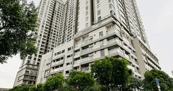 TP.HCM đẩy nhanh cấp sổ hồng cho người dân