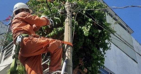 TP HCM: Đề nghị hạn chế ngừng, giảm cung cấp điện vào ban đêm và cao điểm nắng nóng