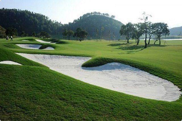 Chủ sân golf Hoàng Gia ước lỗ gần 14 tỷ đồng năm 2023, đề xuất hủy tư cách công ty đại chúng