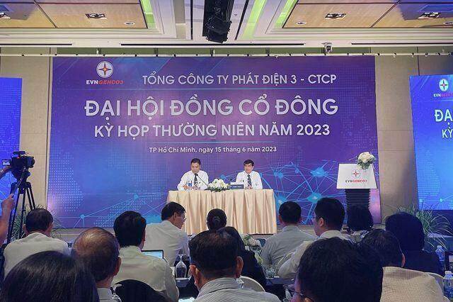 ĐHĐCĐ PGV: Nâng cổ tức 2022 lên 20%, triển khai mua khí 10 năm với GAS