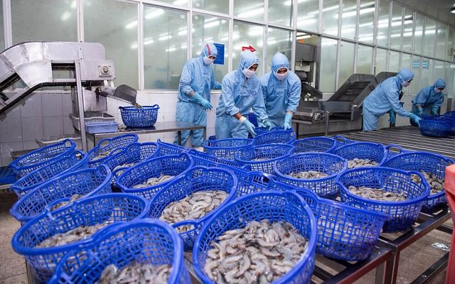 Doanh thu Sao Ta xuống mức thấp nhất từ năm 2022