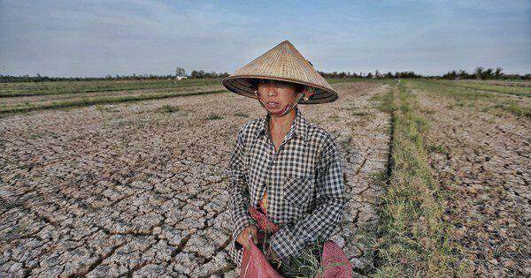El Nino đã xuất hiện