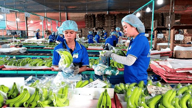 Lãi tháng 5 của HAG đạt 82 tỷ đồng, gấp 2.5 lần tháng trước