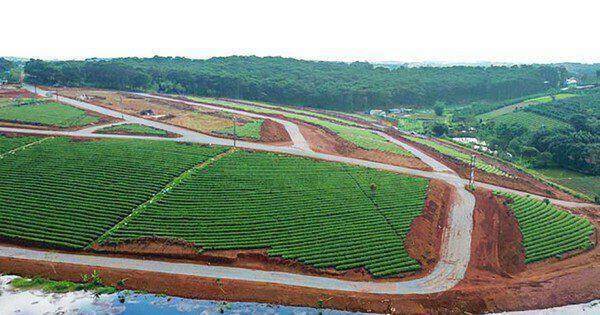 Lâm Đồng thanh tra việc cấp Giấy chứng nhận quyền sử dụng đất giai đoạn 2020