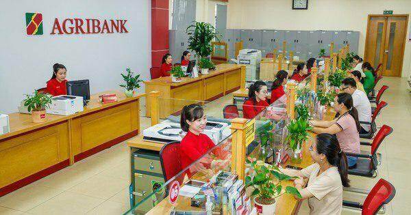 Mạnh dạn vay vốn làm ăn, nhiều nông dân từ tay trắng giờ có cơ ngơi tiền tỷ