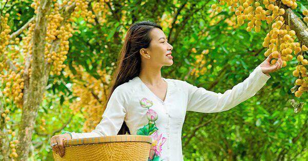 Thiên Cấm Sơn vào mùa cây trái xum xuê
