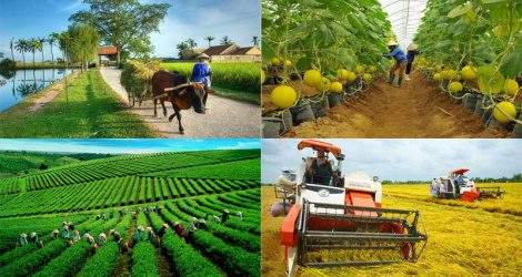 Thúc đẩy sự cạnh tranh cho các sản phẩm công nghiệp nông thôn