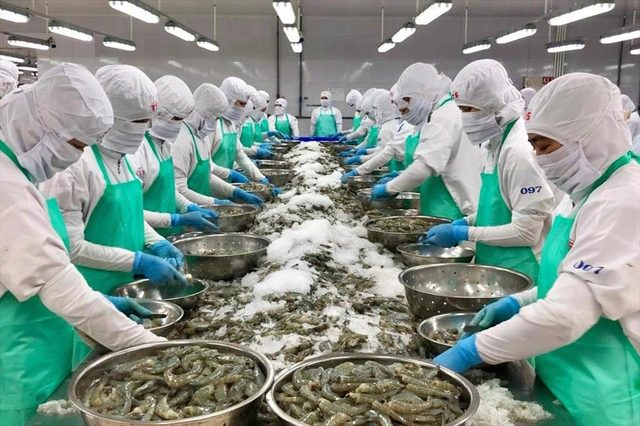 VNDirect: Kim ngạch xuất khẩu thủy sản sang Mỹ có thể tăng 40-50% trong nửa cuối 2023