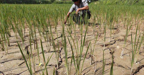 Hiện tượng El Nino xuất hiện tác động thế nào đến thời tiết trên thế giới?