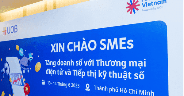 Làm sao để doanh nghiệp kinh doanh thương mại điện tử hết thiếu vốn?
