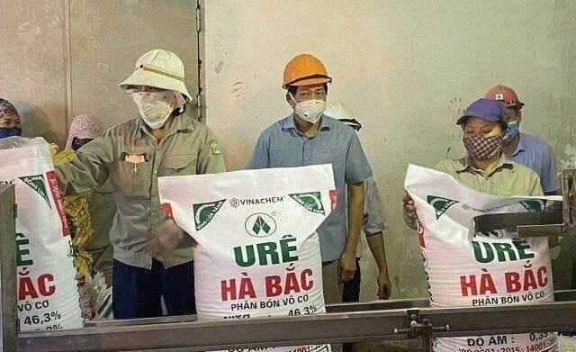 Đạm Hà Bắc lỗ 350 tỷ trong quý 2, vay nợ ngắn hạn gần 1,600 tỷ đồng