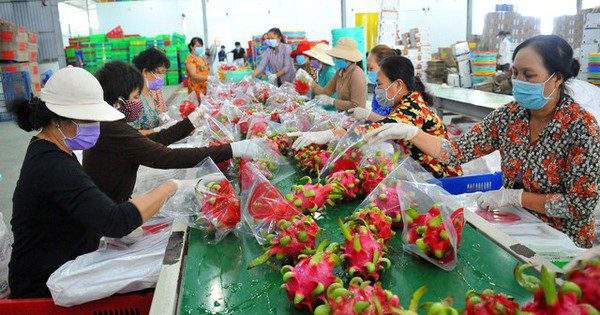 Dự báo những nông sản tăng tốc xuất khẩu 6 tháng cuối năm