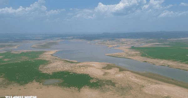 El Nino đang ‘hoành hành’ khắp nơi ra sao?