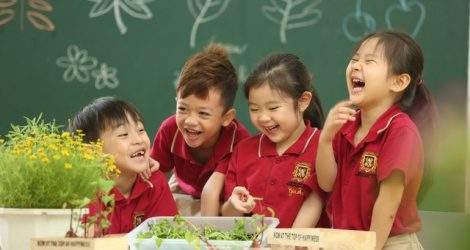 Giải bài toán thu hút, giữ chân giáo viên mầm non