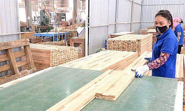 Gỗ Thuận An ước lãi trước thuế hơn 5 tỷ sau nửa năm, đạt 50% kế hoạch