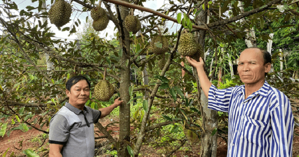 Những thương binh vượt khó, làm kinh tế giỏi