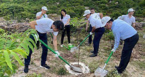 Ninh Thuận trồng mới hơn 1.120 ha rừng thay thế