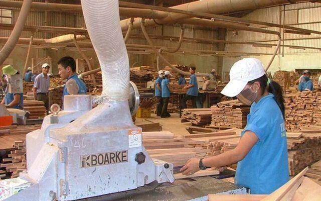 PTB lãi trước thuế 124 tỷ đồng trong quý 2, giảm 36%