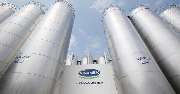 Phân tích chất lượng lợi nhuận hơn 8.000 tỷ đồng của Vinamilk