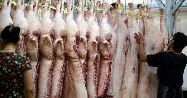 ‘Thịt lợn cứ luộc, kho tàu thì làm sao xuất khẩu được’