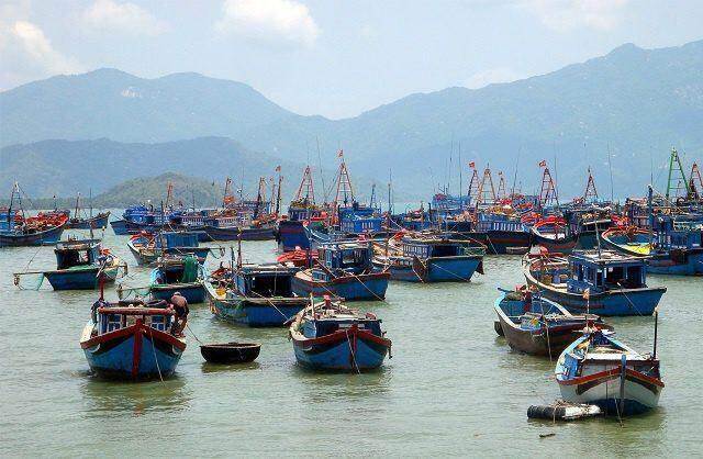 Thủy sản Bạc Liêu có lãi sau 5 quý lỗ liên tiếp