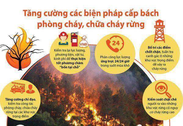 Tương Dương:Tăng cường các biện pháp cấp bách phòng cháy chữa cháy