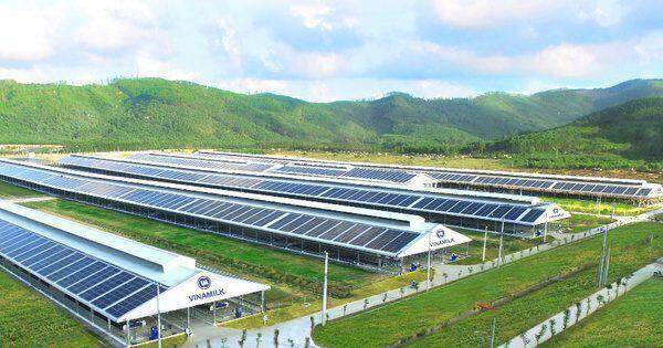 Vinamilk đẩy mạnh lộ trình giảm “dấu chân Carbon”, hướng đến Net Zero