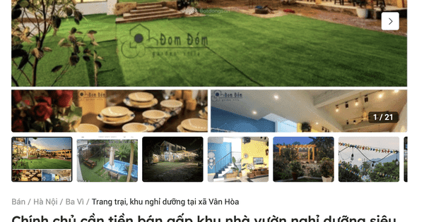 Vỡ mộng homestay, nhà đầu tư ‘bỏ của chạy lấy người’
