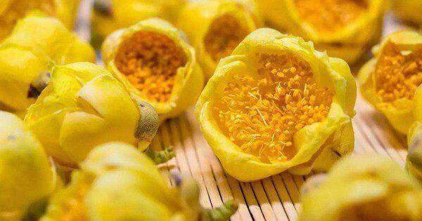 Trung Quốc trồng bao nhiêu cũng không đủ, sang cả Việt Nam lùng mua