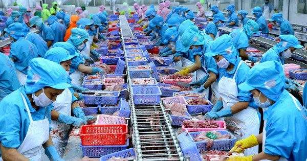 Chính thức có gói tín dụng 15.000 tỷ đồng cho lâm, thủy sản, lãi suất thấp hơn 1-2% so với thị trường