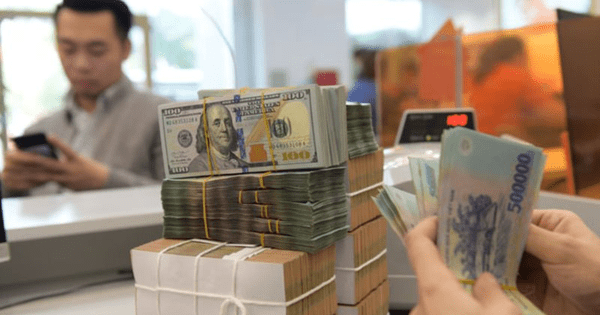 Vay tiền từ gói tín dụng 15.000 tỷ hỗ trợ lâm, thuỷ sản ở ngân hàng nào?
