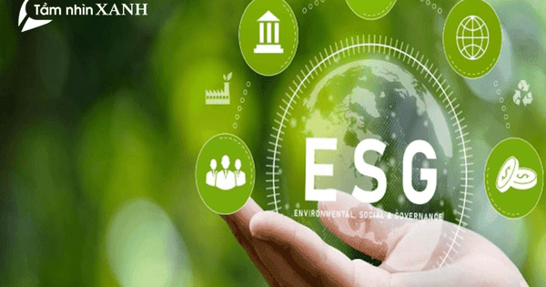 96% người tiêu dùng sẵn sàng chi trả nhiều hơn cho các sản phẩm chú ý đến phát triển bền vững