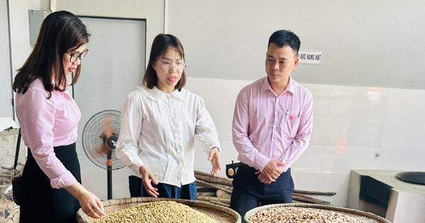 Tạo sinh kế, mở đường cho nông dân Quảng Nam trên hành trình thoát nghèo bền vững