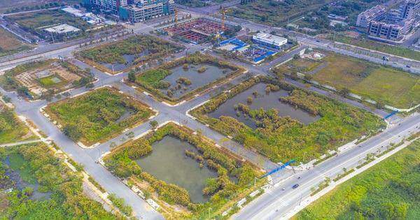 Doanh nghiệp nói gì khi ngưng thi hành các quy định “cấm cho vay”