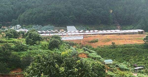 Phân lô đất thuê của ngân hàng, lừa đảo chiếm đoạt tiền tỷ