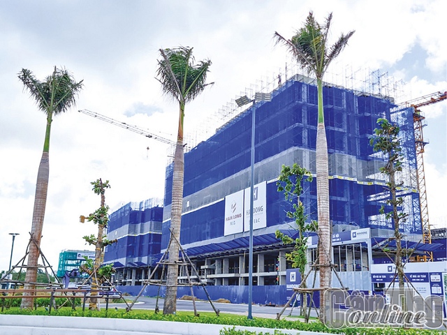 Cần Thơ bắt đầu nhận đơn đăng ký mua hơn 960 căn nhà ở xã hội của NLG, giá gần 16 triệu đồng/m2