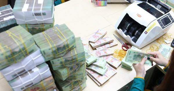 Phạt 100 triệu đồng sao đủ răn đe?