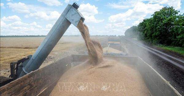 Nga đề xuất biện pháp giải quyết ngũ cốc thừa của Ukraine