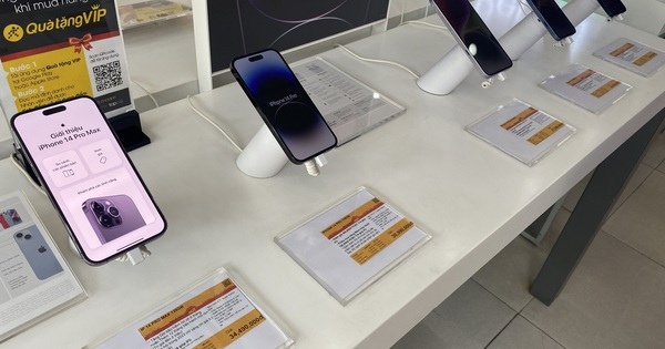iPhone 15 xách tay chỉ cao hơn giá gốc khoảng 10 triệu đồng
