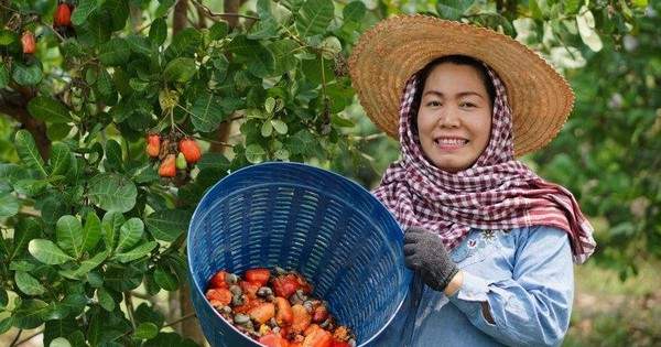 Lý do hàng Việt “độc bá” thị trường