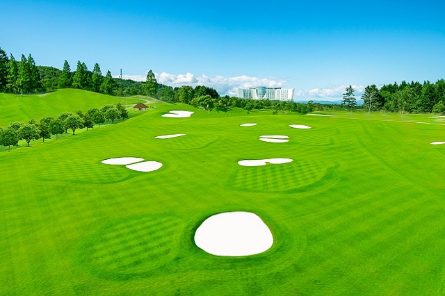 Geleximco chỉ lãi sau thuế gần 16 tỷ đồng trong nửa đầu năm 2023
