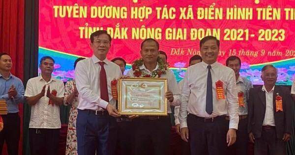 Thanh Thai coffee – sản phẩm tinh túy từ vùng đất núi lửa Đắk Nông