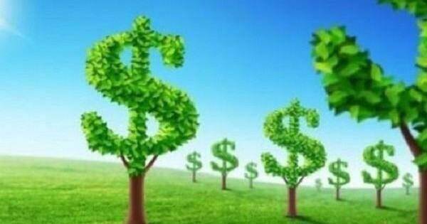 Những sản phẩm trọng tâm của tài chính xanh là gì?